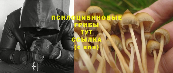 соль ск Зеленокумск
