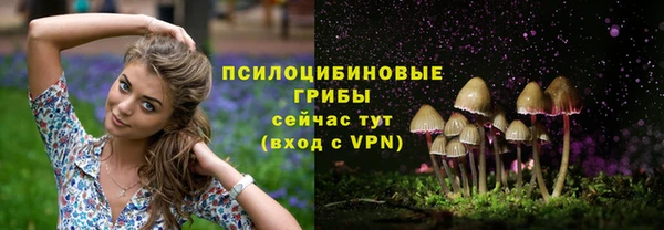 соль ск Зеленокумск
