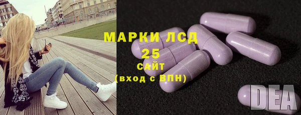 гашик Зерноград