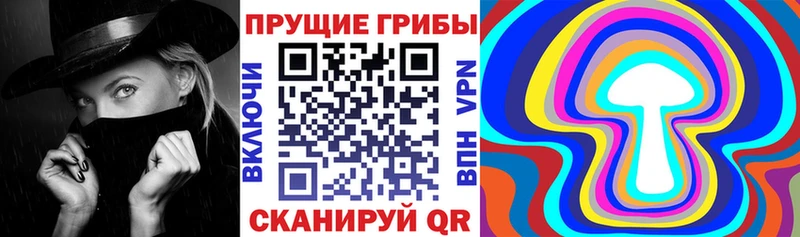 Псилоцибиновые грибы MAGIC MUSHROOMS  Купить где  Инсар 